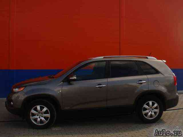KIA Sorento, 2010 фото-1 KIA Sorento, 2010 фото-1