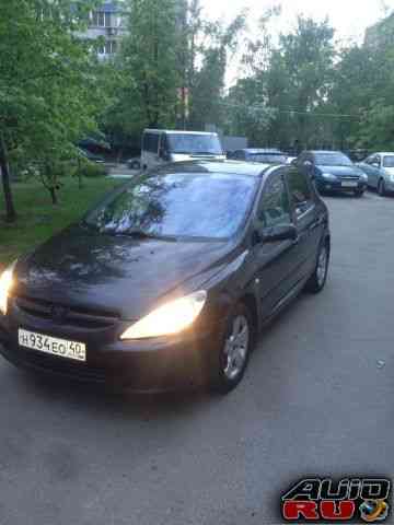 Peugeot 307, 2002 