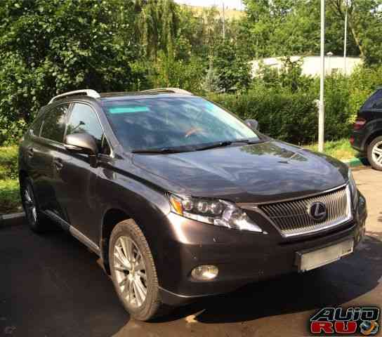 Lexus RX, 2010 фото-1 Lexus RX, 2010 фото-1