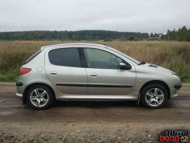 Peugeot 206, 2004 