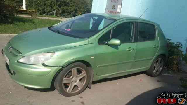 Peugeot 307, 2004 