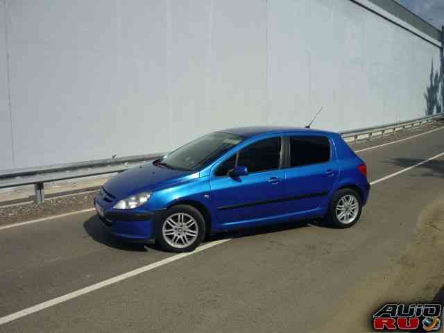 Peugeot 307, 2004 