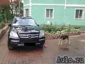 Mercedes-Benz GL-класс, 2011 Mercedes-Benz GL-класс, 2011
