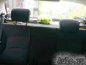 FIAT Albea, 2008 FIAT Albea, 2008