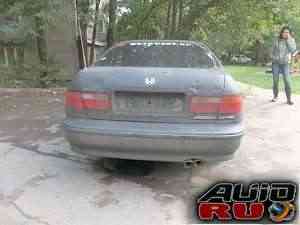 Honda Accord, 1993 Honda Accord, 1993