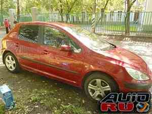 Peugeot 307, 2004