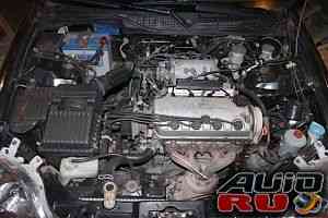 Honda Civic, 1996 Honda Civic, 1996