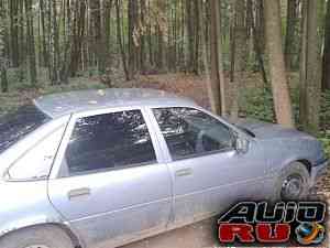 Opel Vectra, 1996 Opel Vectra, 1996
