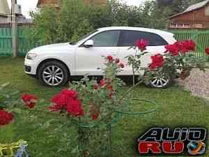 Audi Q5, 2009