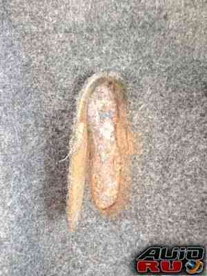Форд Ka, 1998