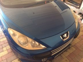 Peugeot 307, 2006