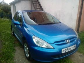 Peugeot 307, 2004