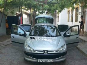 Peugeot 206, 2006