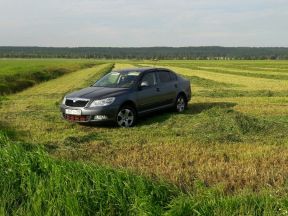 Skoda Octavia, 2009