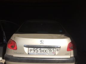 Peugeot 206, 2006