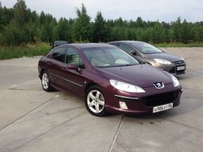 Peugeot 407, 2004