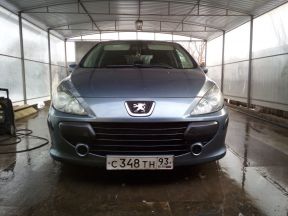 Peugeot 307, 2005