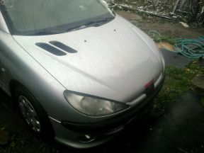 Peugeot 206, 2006