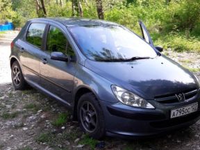 Peugeot 307, 2004