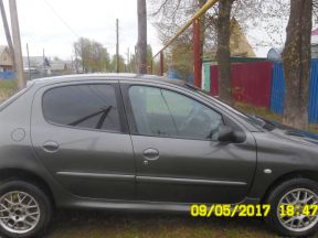 Peugeot 206, 2000