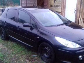 Peugeot 307, 2007