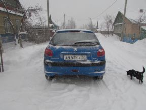 Peugeot 206, 2002