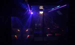 White party bus