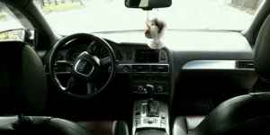 Audi A6, 2005 Audi A6, 2005