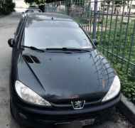 Peugeot 206, 2004