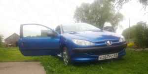 Peugeot 206, 2009