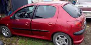 Peugeot 206, 2004