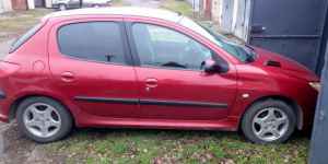 Peugeot 206, 2004