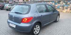 Peugeot 307, 2007