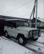 УАЗ 3151, 2001