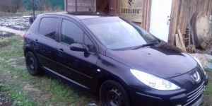 Peugeot 307, 2007