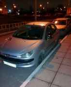 Peugeot 206, 2005