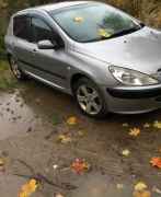 Peugeot 307, 2004