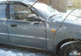 ЗАЗ Шанс, 2010 года